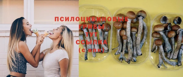 гашиш Богданович