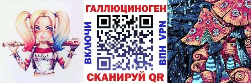 как найти   Кинешма  Галлюциногенные грибы Psilocybe 