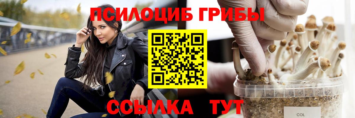 Галлюциногенные грибы прущие грибы Кинешма