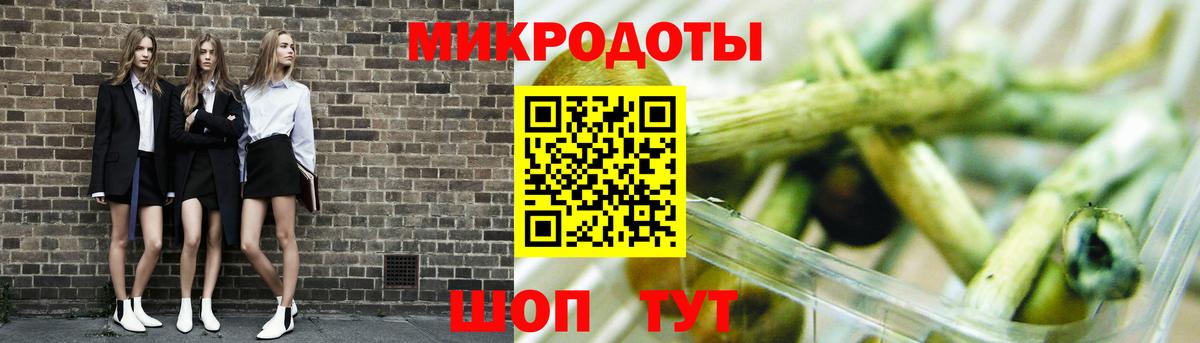 Галлюциногенные грибы Psilocybe Кинешма