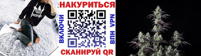 Канабис OG Kush  где можно купить   кракен   Кинешма 